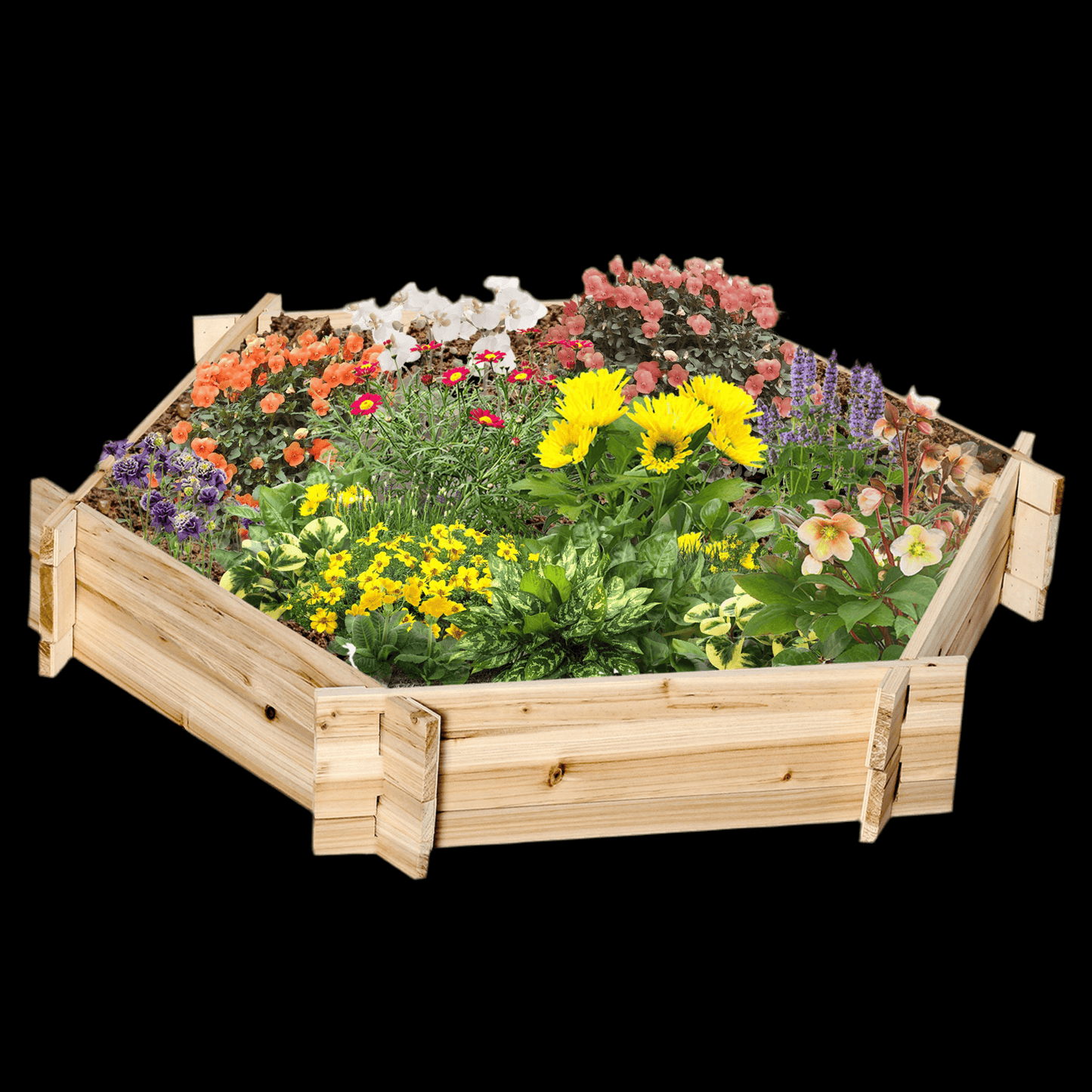 Hexagon screwless raised garden bed filled with vibrant flowers, designed for easy setup and durable gardening.