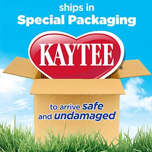 Enrich small pets' diets with Kaytee's 3 flavor hay pack, featuring natural timothy hay, marigold, carrot, and spearmint for delightful nutrition.