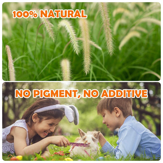 32pc Timothy Hay Sticks toy set for rabbits & guinea pigs. Natural, fiber-rich, & vitamin-packed. Promotes digestion & intestinal health.