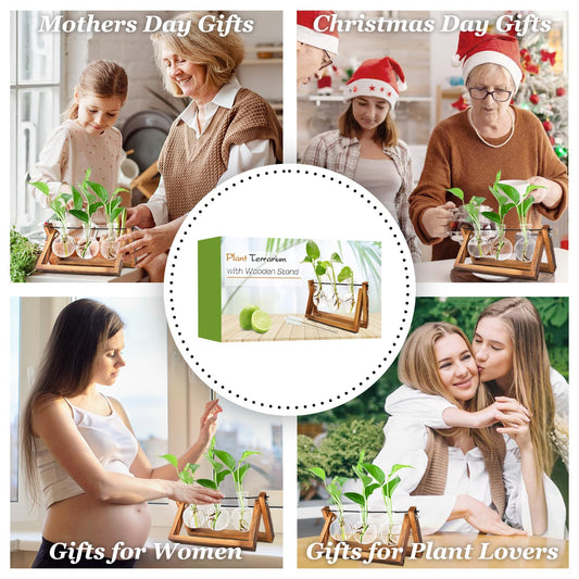 Discover Renmxj's plant propagation station, a perfect gardening gift for women. Elegant decor for plant lovers in any home or office.