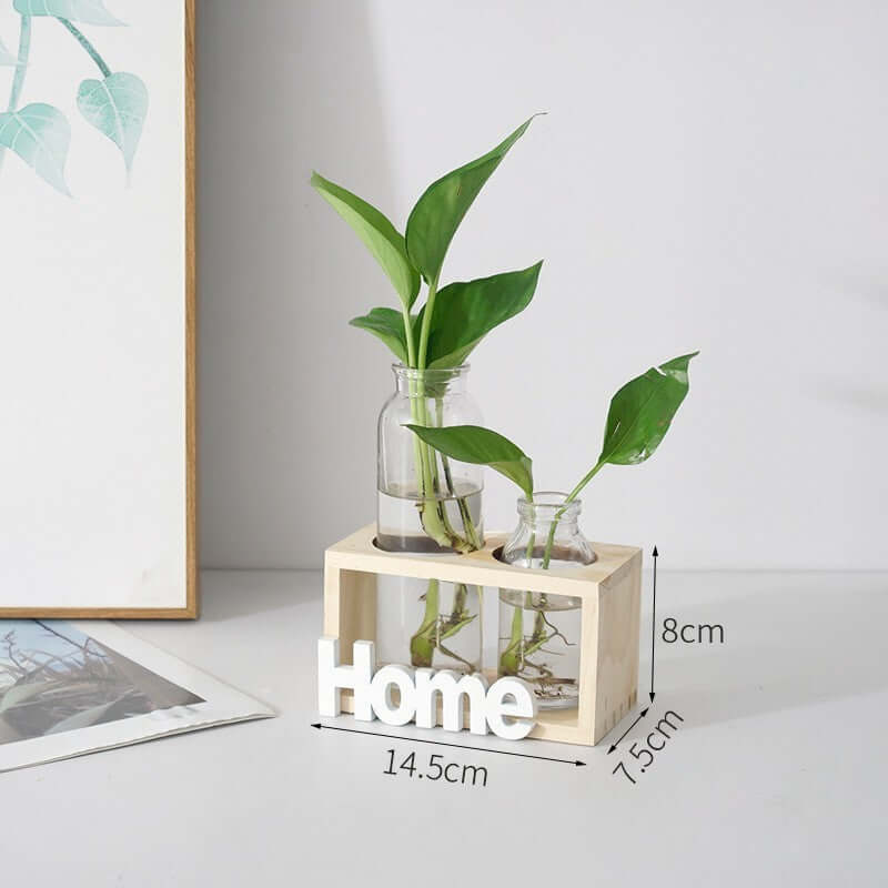 Minimalist hydroponic glass vase with plants, wooden holder, and 'Home' sign, perfect for stylish decor.