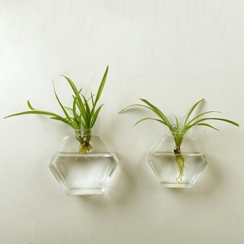 Wall-mounted Borosilicate Planter