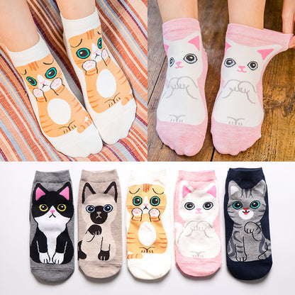 Girl's adorable cotton socks with kitty faces & poses, back to school, or any occasion. Breathable, sweat absorbing "Add a dose of cuteness to your day with our girl's cotton socks, featuring adorable kitty faces and poses. Perfect for back to school or a