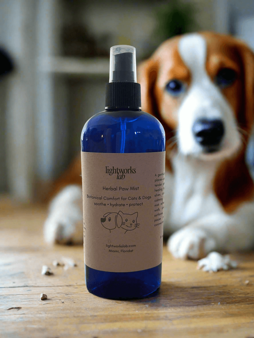 Herbal Paw Mist 8 oz in blue spray bottle with a dog in the background, soothing botanical spray for pets.