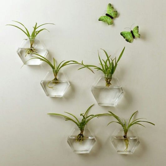 Wall-mounted Borosilicate Planter