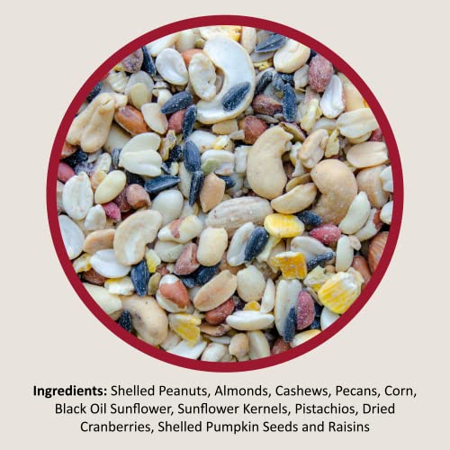 Brand: LyricColor: MultiFeatures: A high-energy wild bird mix featuring a gourmet blend of select fruits, seeds and shell-free nuts 12 premium, all natural ingredients Attracts chickadees, robins, orioles, blue jays, titmice, buntings, cardinals, grosbeak