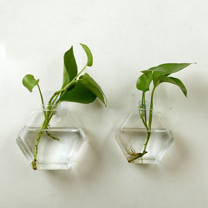 Wall-mounted Borosilicate Planter