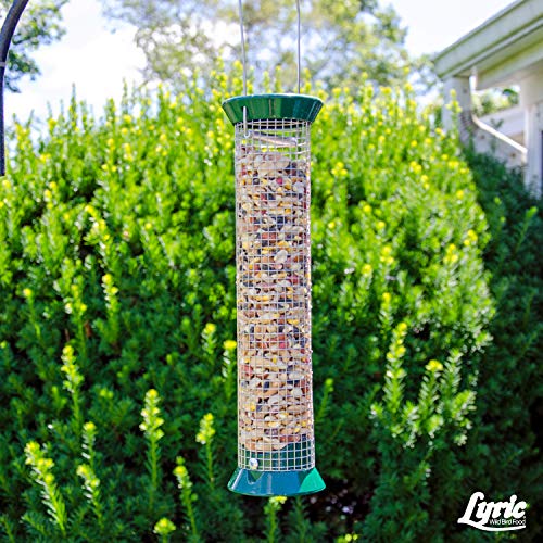 Brand: LyricColor: MultiFeatures: A high-energy wild bird mix featuring a gourmet blend of select fruits, seeds and shell-free nuts 12 premium, all natural ingredients Attracts chickadees, robins, orioles, blue jays, titmice, buntings, cardinals, grosbeak