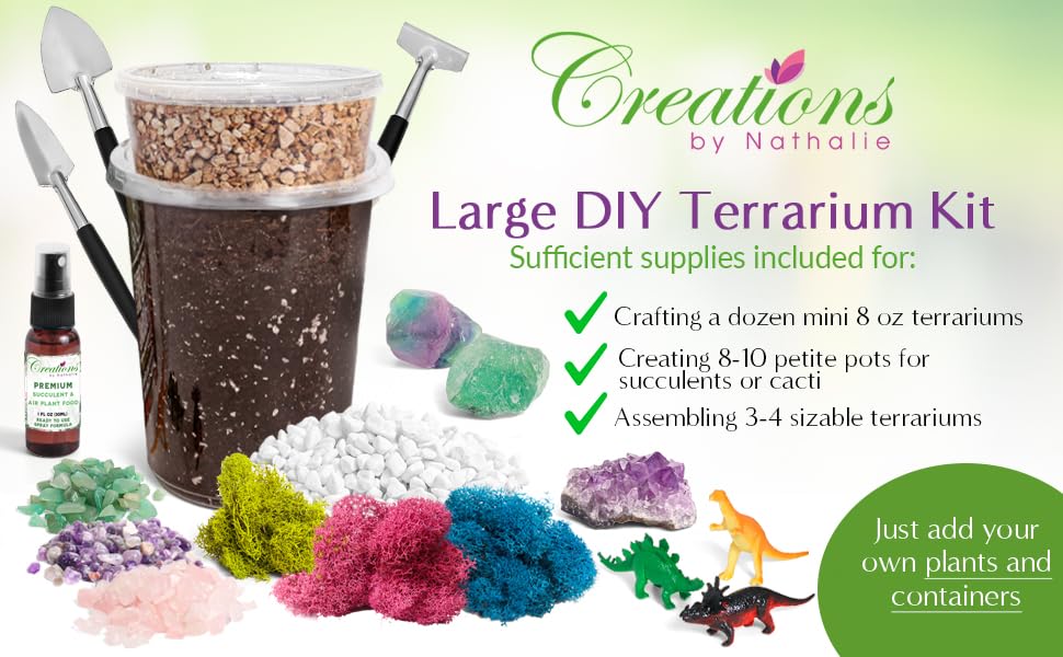 "Sponsored" Brand: Creations by Nathalie Color: White, Chartreuse, Fuchsia, Amethyst Features: COMPLETE TERRARIUM KIT WITH EVERYTHING YOU NEED - That's right, our terrarium starter kit comes with everything you need to build your own cactus, air plant or