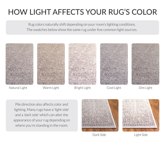 SAFAVIEH Area Rug 4x6 - Reflection Collection - Beige & Cream, Non-Shedding & Easy Cleaning, Ideal for Entryway, Living Room, Bedroom (RFT670A)