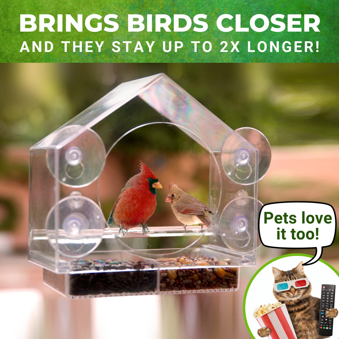 Nature Anywhere Transparent Acrylic Window Bird Feeders for Outdoors - Enhanced Suction Grip, Bird Watching for Cats, Easy-to-Clean, Outdoor Birdhouse Feeder