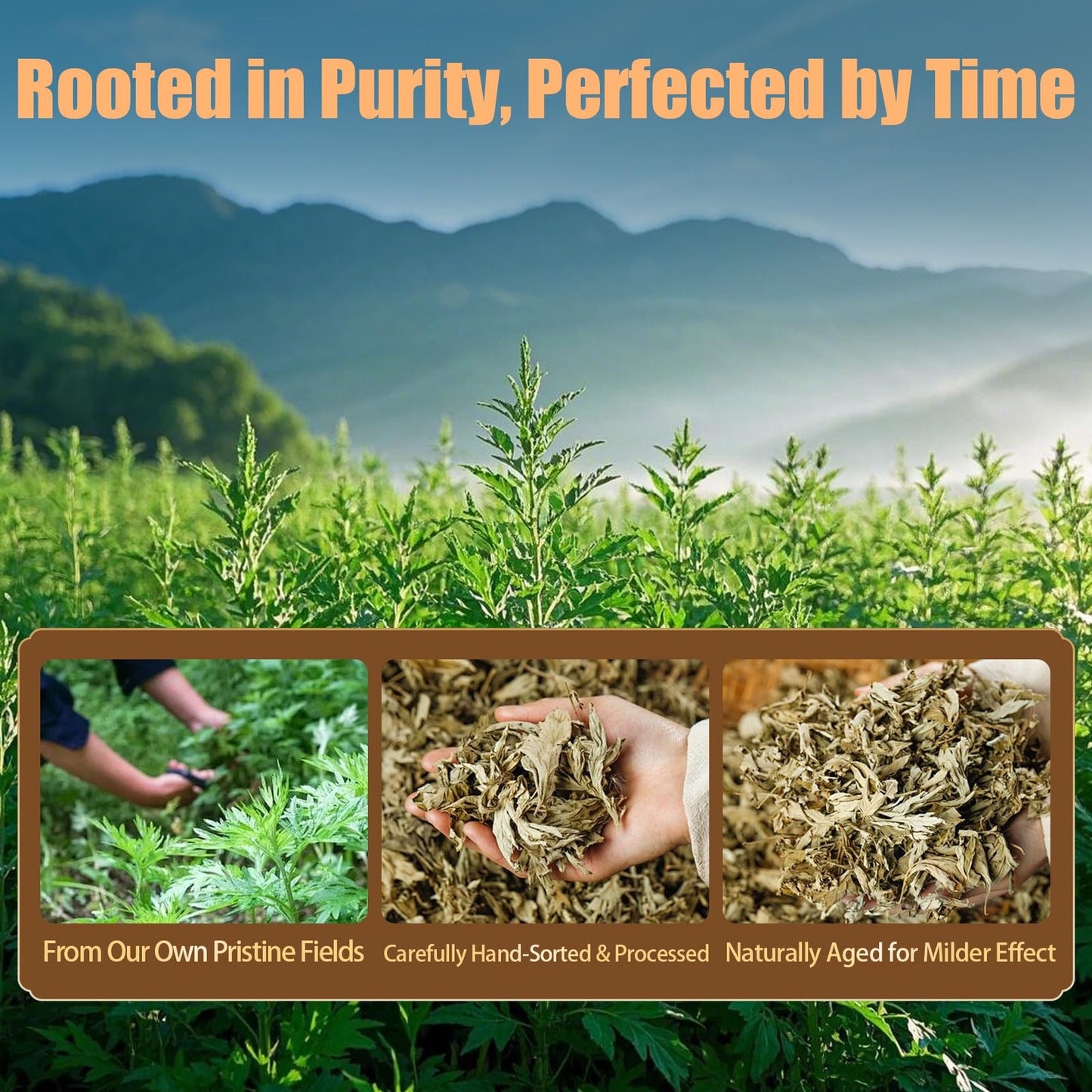 LongHerb Moxa Sticks for Moxibustion – 54 Rolls Sticks Pure Mugwort, 60:1 High-Purity Moxa Wool from 10-Year-Old Mugwort，Natural Moxa Cones for Waist Neck Knee Back Acupoint Care