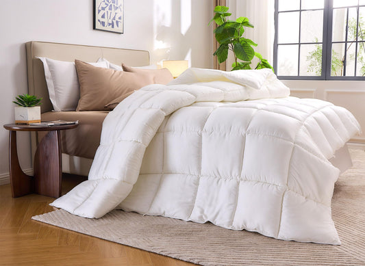 White comforter on a bed in a bright bedroom with a side table and plant.