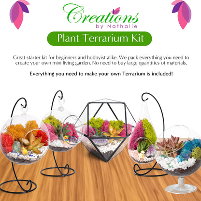 "Sponsored" Brand: Creations by Nathalie Color: White, Chartreuse, Fuchsia, Amethyst Features: COMPLETE TERRARIUM KIT WITH EVERYTHING YOU NEED - That's right, our terrarium starter kit comes with everything you need to build your own cactus, air plant or