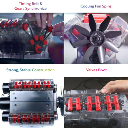 Playz V8 Combustion Engine Model Kit That Runs - Build Your Own STEM Mini V8 Model Engine Kit for Adults & Kids Age 12+, Visible V8 Mini Engine Kit That Works for Adult w/ 270 STEM Parts