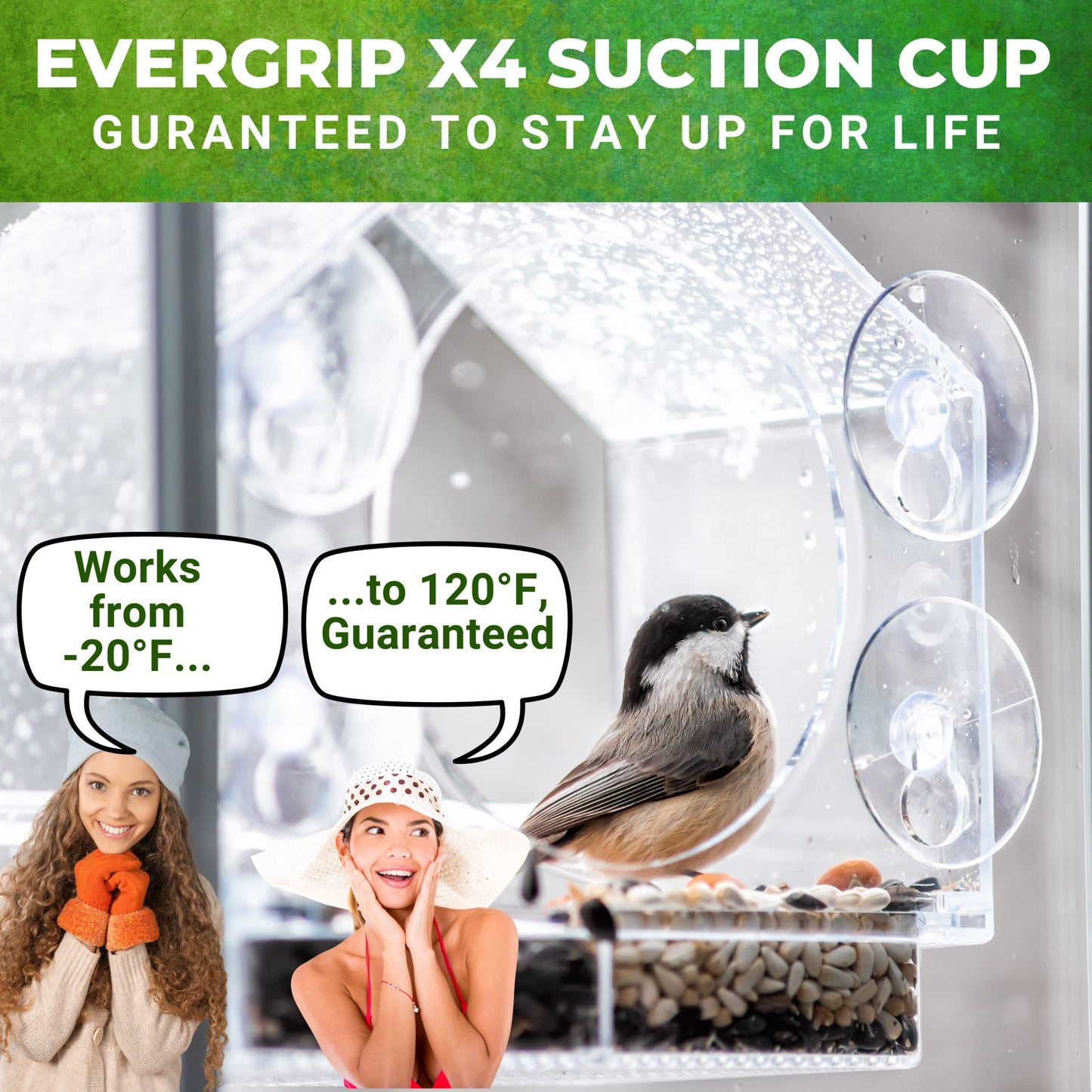 Nature Anywhere Transparent Acrylic Window Bird Feeders for Outdoors - Enhanced Suction Grip, Bird Watching for Cats, Easy-to-Clean, Outdoor Birdhouse Feeder