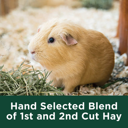 Kaytee Timothy Hay Plus Spearmint/Marigold/Carrot 3 Flavor Variety Pack for Small Pets