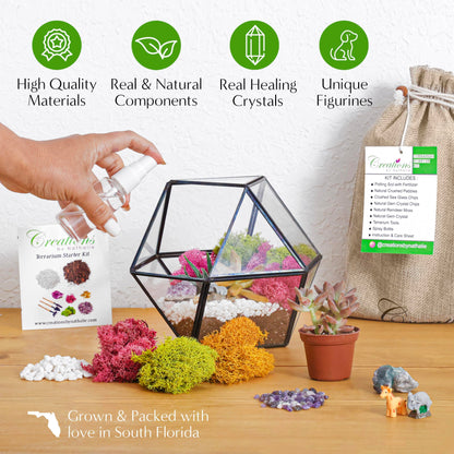 "Sponsored" Brand: Creations by Nathalie Color: White, Chartreuse, Fuchsia, Amethyst Features: COMPLETE TERRARIUM KIT WITH EVERYTHING YOU NEED - That's right, our terrarium starter kit comes with everything you need to build your own cactus, air plant or