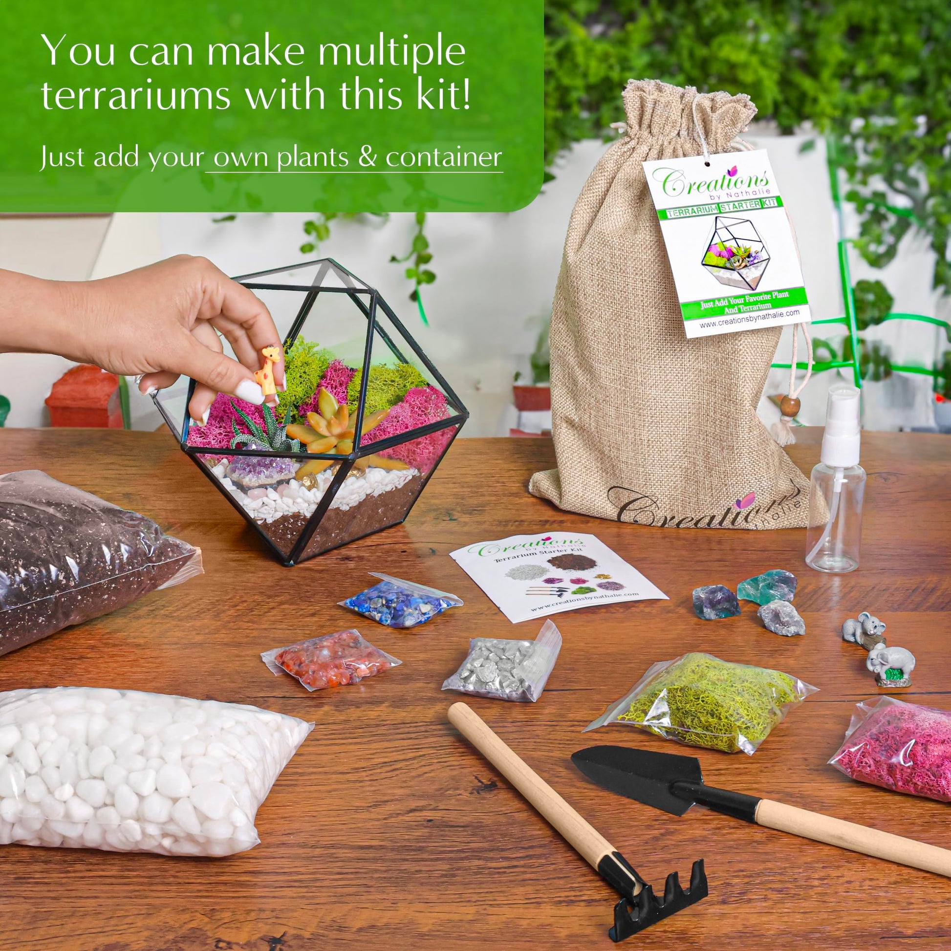 "Sponsored" Brand: Creations by Nathalie Color: White, Chartreuse, Fuchsia, Amethyst Features: COMPLETE TERRARIUM KIT WITH EVERYTHING YOU NEED - That's right, our terrarium starter kit comes with everything you need to build your own cactus, air plant or