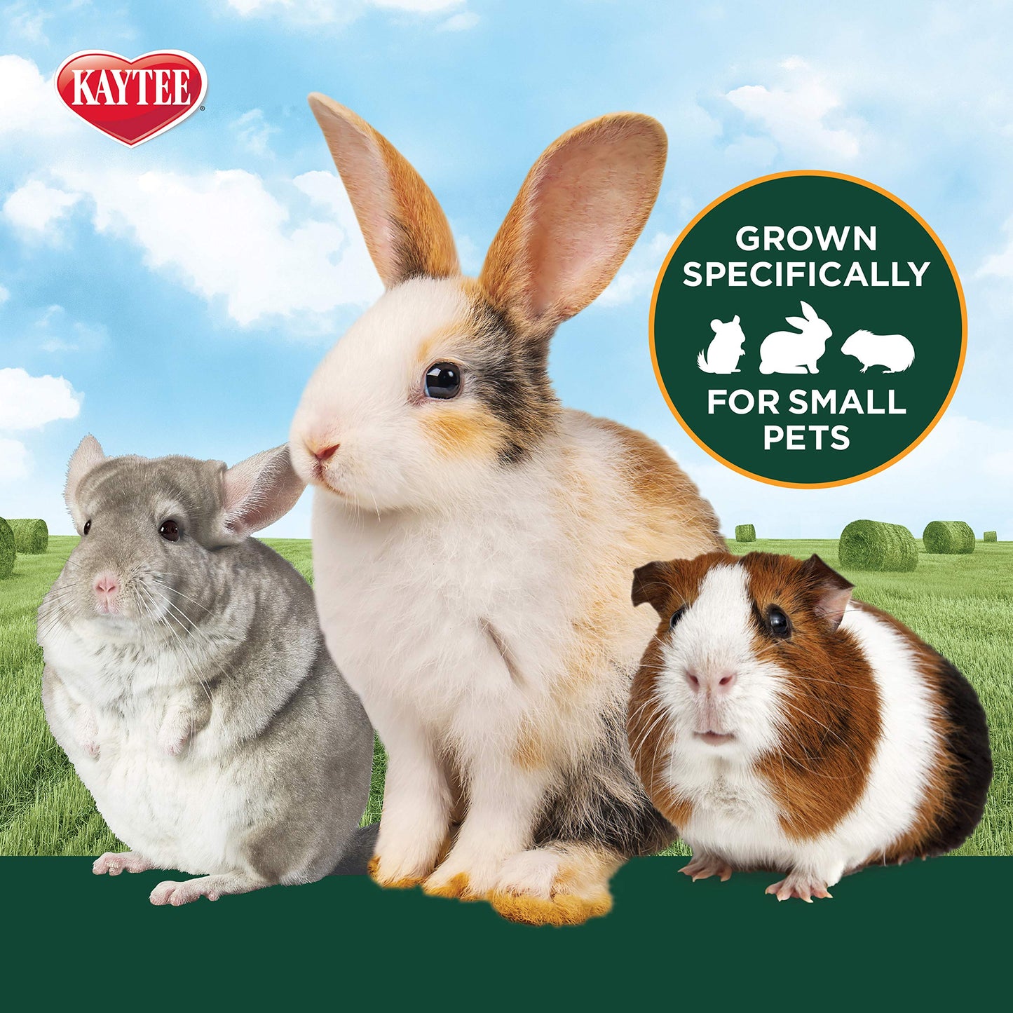 Kaytee Timothy Hay Plus Spearmint/Marigold/Carrot 3 Flavor Variety Pack for Small Pets