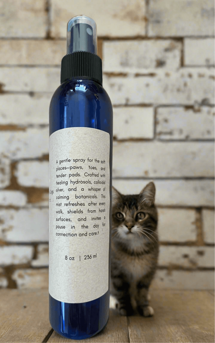 Herbal Paw Mist 8 oz bottle with soothing botanical spray for paws in the background of a cat.