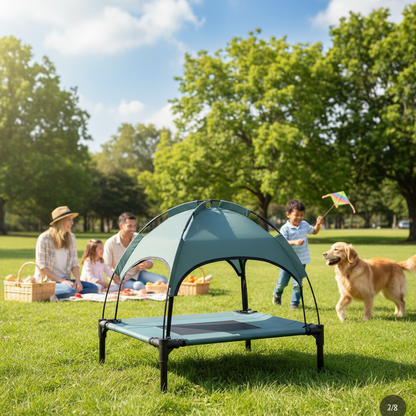Pet cot with canopy on a white background