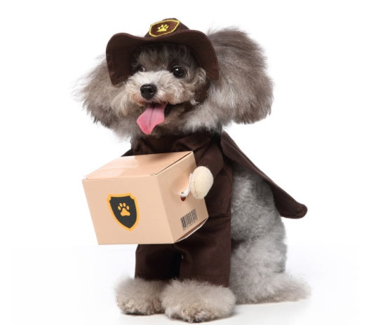 Dress up your furry friends in these costumes made of skin-friendly polyester fabric, perfect for any occasion. The sets include a hat, clothes, and cloak, all easily removable for quick changes. Its cute cartoon design will surely make your pet the cente