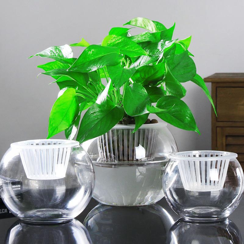 Glass Hydroponic Plant Pots