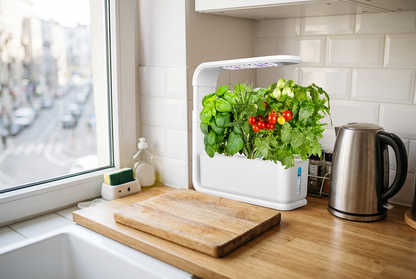 Compact hydroponic planter fitting into a small kitchen counter space